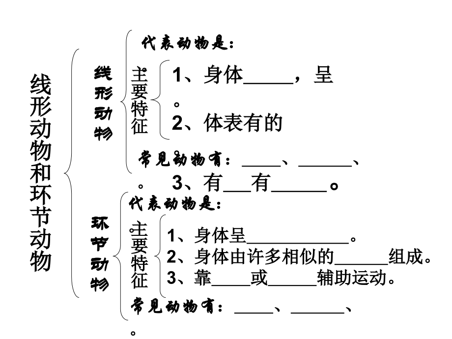 软体动物和节肢动物_(新).ppt_第1页