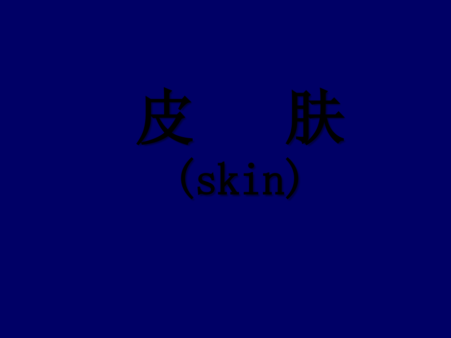 皮肤概述.ppt_第1页