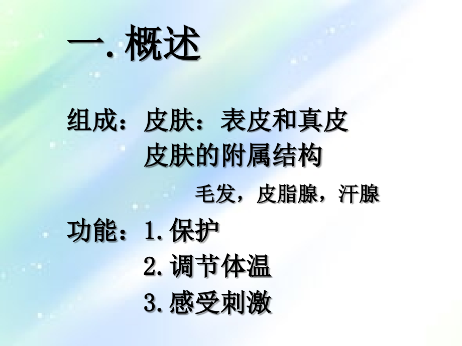 皮肤概述.ppt_第2页