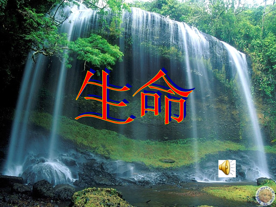 《谈生命》课件.ppt_第1页