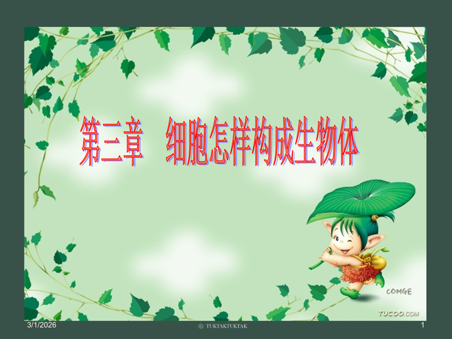 初一生物第三章第一节《动物体的结构层次》PPT课件.ppt_第1页