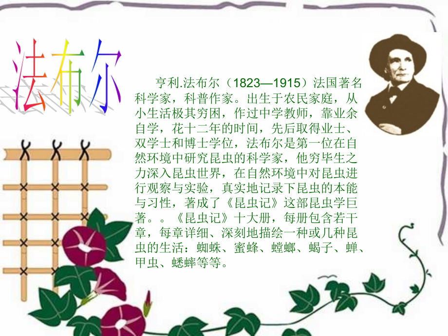 小学三年级上册语文第十四课蜜蜂课件.ppt_第2页