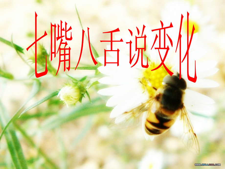 七年级（下）《七嘴八舌说变化》课件.ppt_第1页