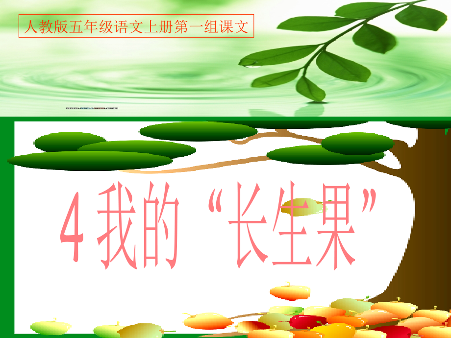 我的“长生果”PPT课件.ppt_第1页
