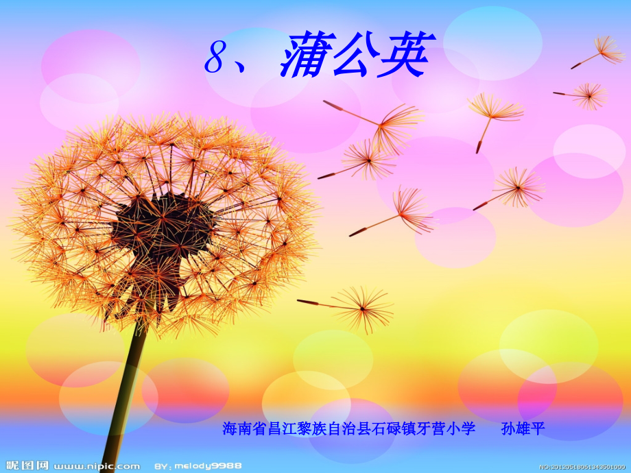 《蒲公英》PPT课件海南昌江县石碌镇牙营小学孙雄平.ppt_第1页