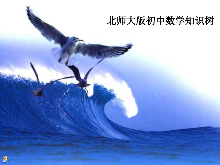 初中数学知识树.ppt_第1页
