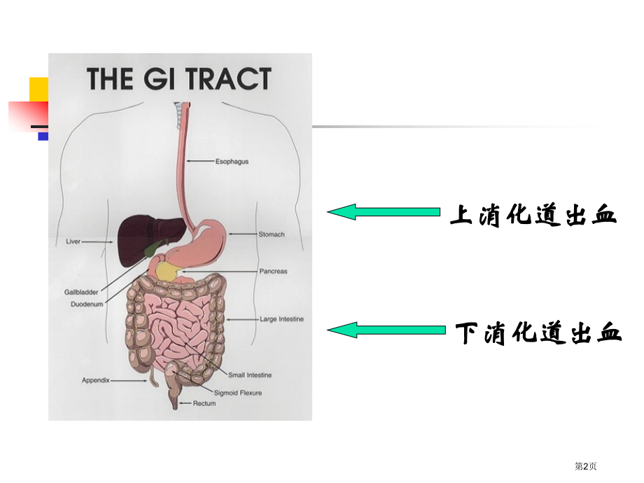 上消化道大出血医学知识讲座.pptx_第2页