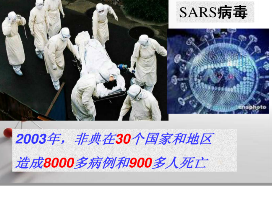 病毒(思维导图）.ppt_第1页