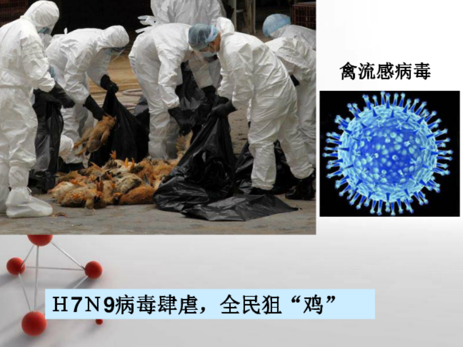 病毒(思维导图）.ppt_第2页