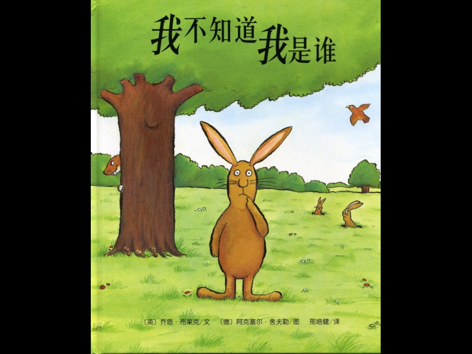我不知道我是谁.ppt_第1页