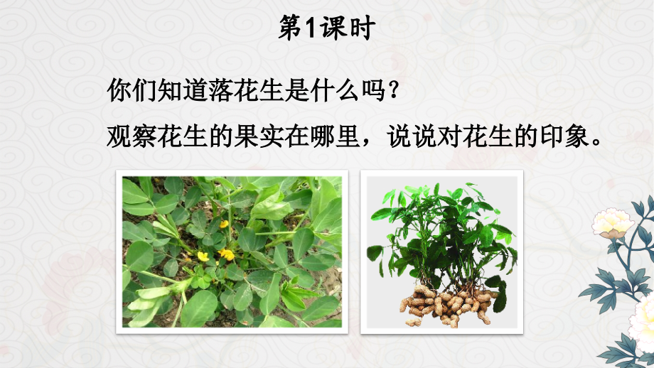 部编版语文五年级上册《落花生》课件.ppt_第2页