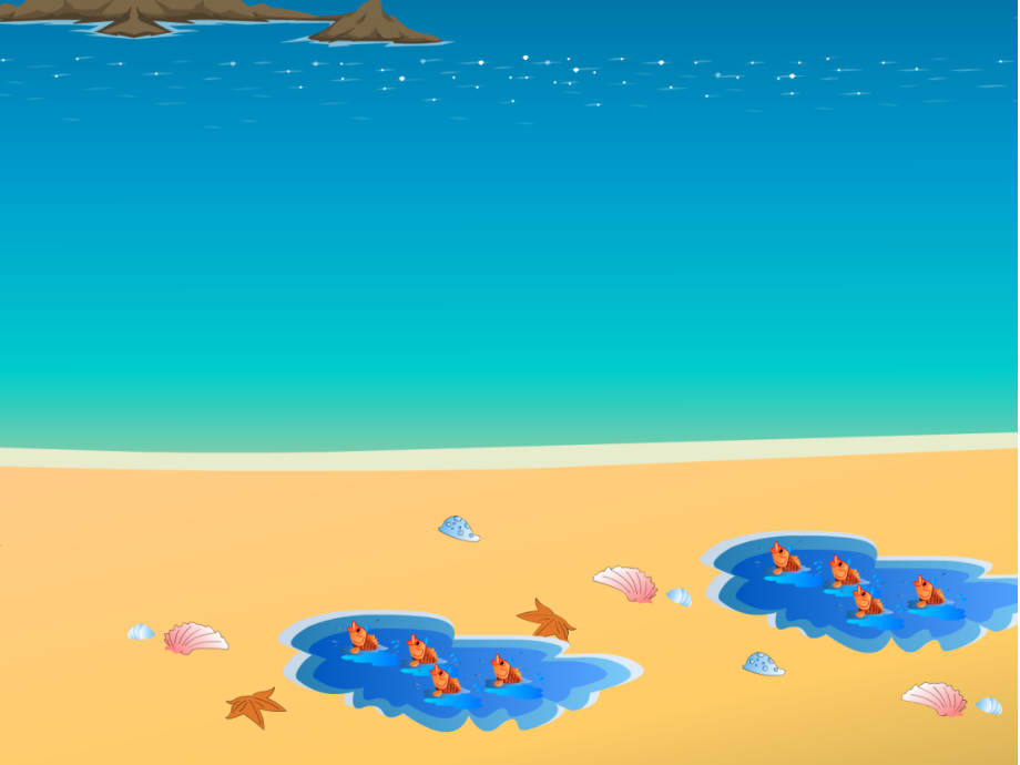 浅水洼的小鱼.ppt_第1页