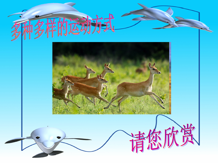 七年级生物上册第二单元第二章第三节 动物的运动 课件济南版 课件.ppt_第1页