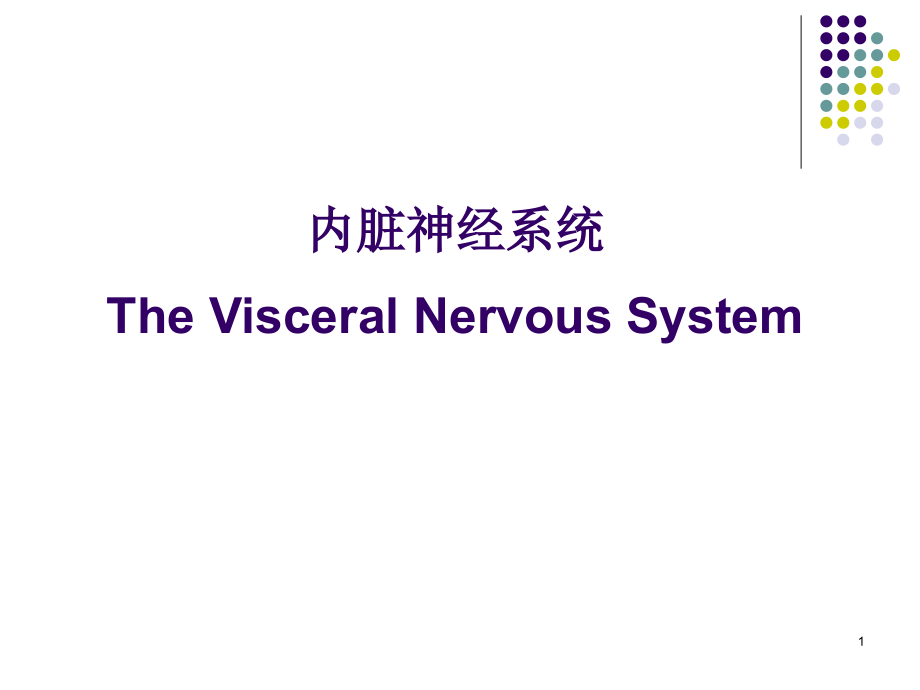 神经系统解剖—凌树才课件.ppt_第1页
