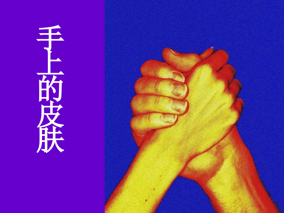 手上的皮肤(上课).ppt_第1页