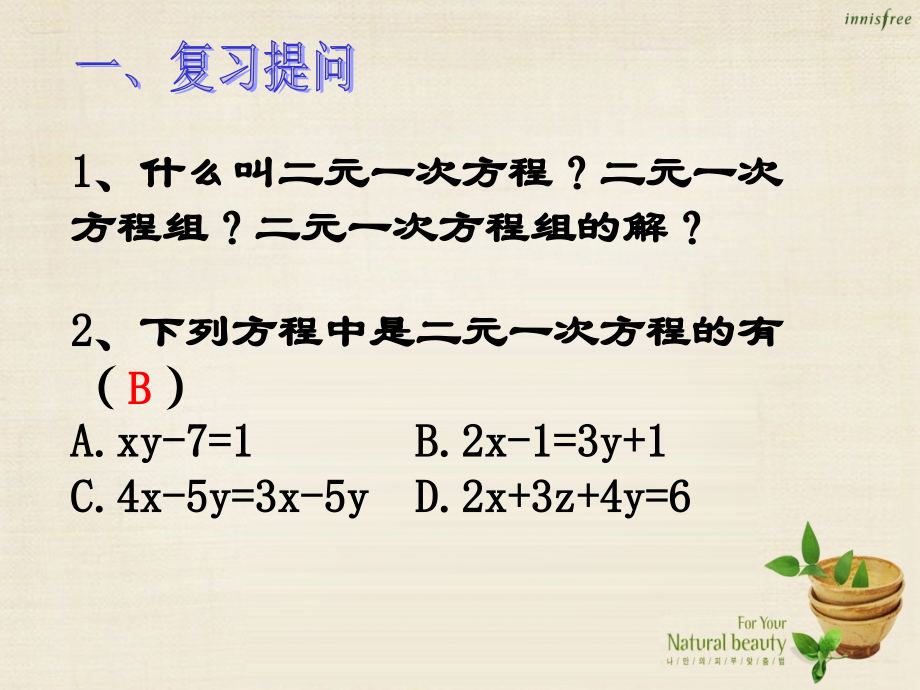 代入法解二元一次方程.ppt_第2页