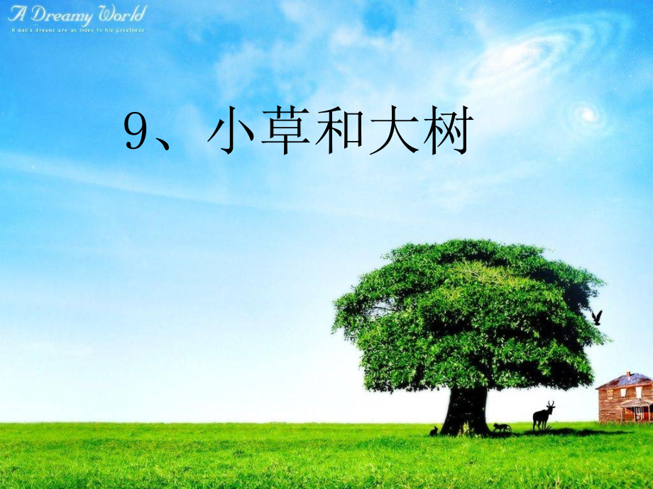 苏教版小学语文六年级上册《小草和大树》.ppt_第1页