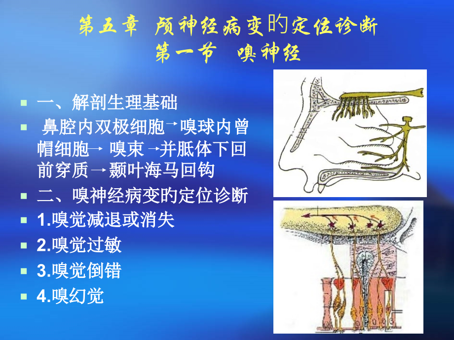 新版神经定位诊断学.pptx_第2页