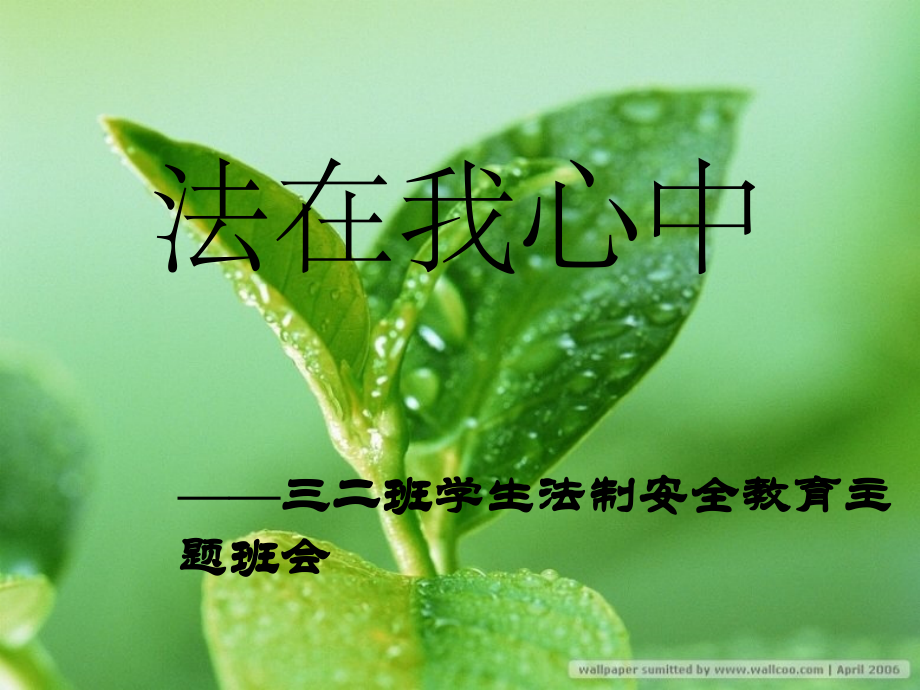 法制班会教育安全主题班会课件.ppt_第1页