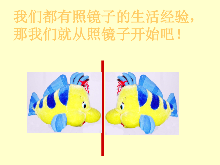 《镜子改变了什么》.ppt_第2页
