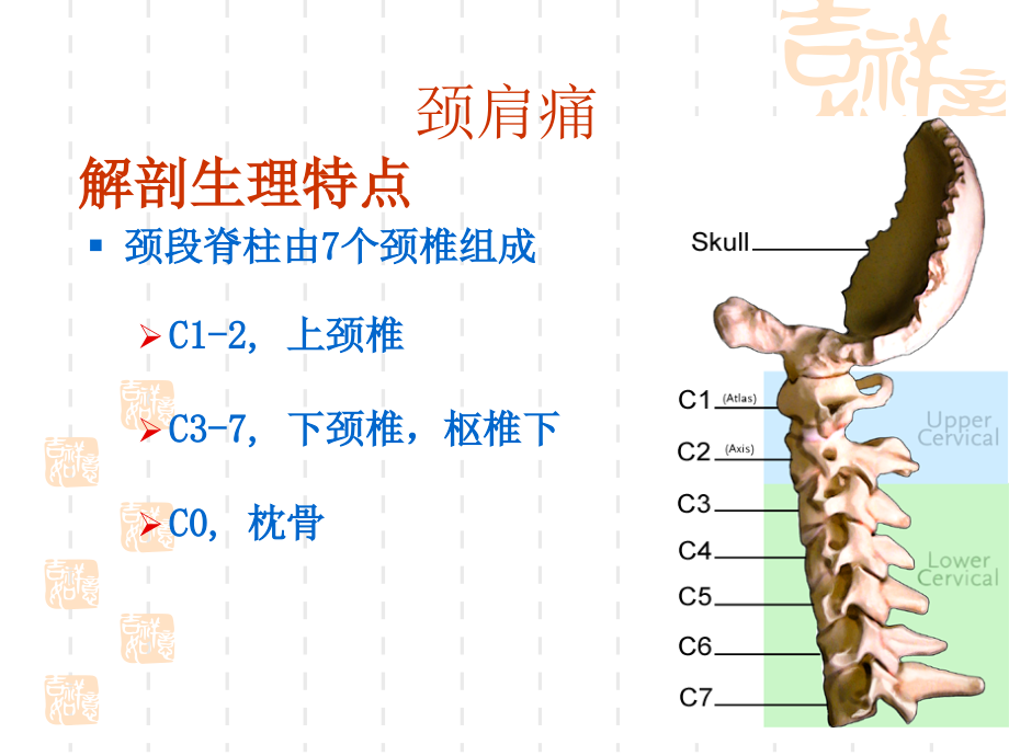 第三十八章--颈肩痛与腰腿痛病人的护理.ppt_第2页