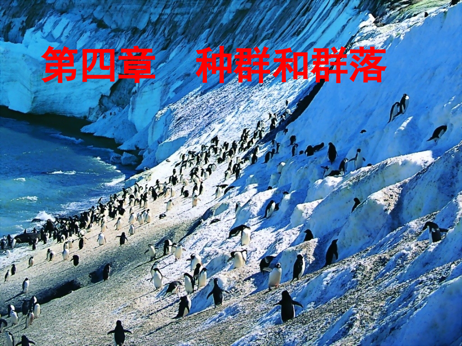 生物必修三第四章第一节_种群的特征.ppt_第1页
