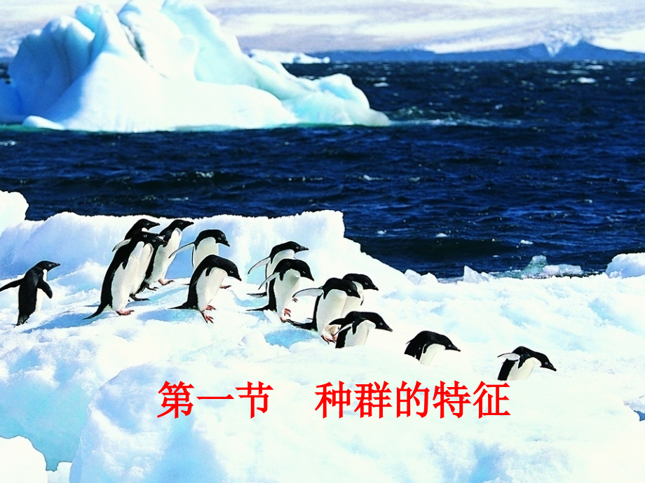 生物必修三第四章第一节_种群的特征.ppt_第2页