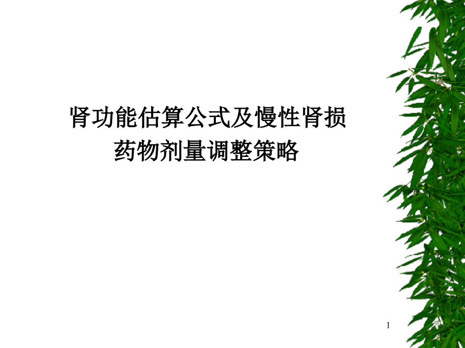 肾功能估算公式及慢性肾损药物剂量调整策略课件.ppt_第1页