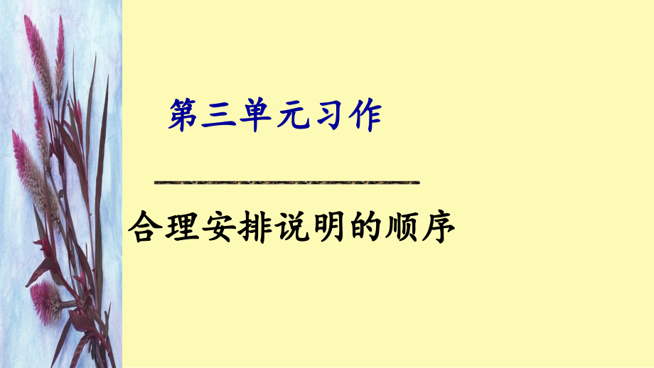 合理安排说明的顺序PPT课件.ppt_第1页
