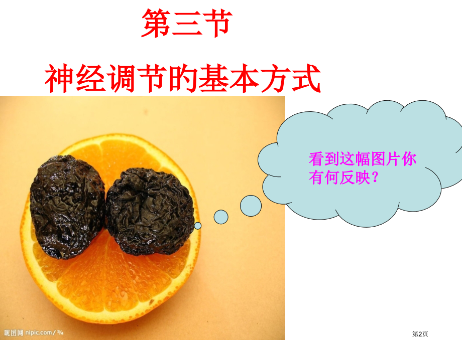 神经调节的基本方式讲解.pptx_第2页