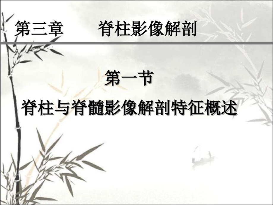 脊柱影像解剖ppt课件.ppt_第1页