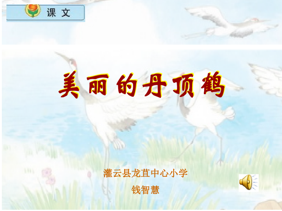 小学语文二年级上册《美丽的丹顶鹤》课件(苏教版国标本).ppt_第2页