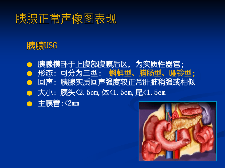 超声腹部2-胰脾超声1学时.ppt_第2页