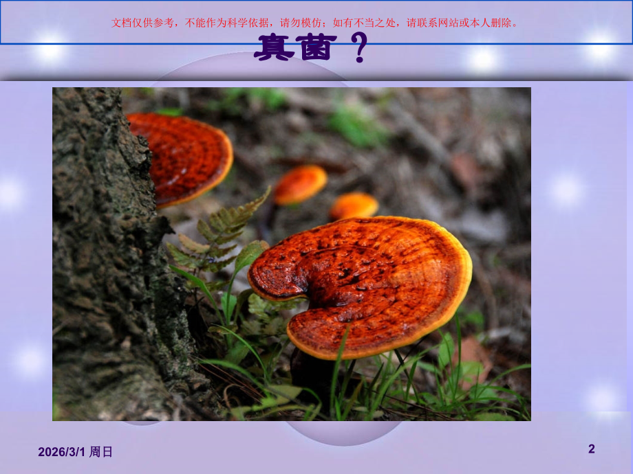 真菌感染性皮肤病培训课件.ppt_第2页