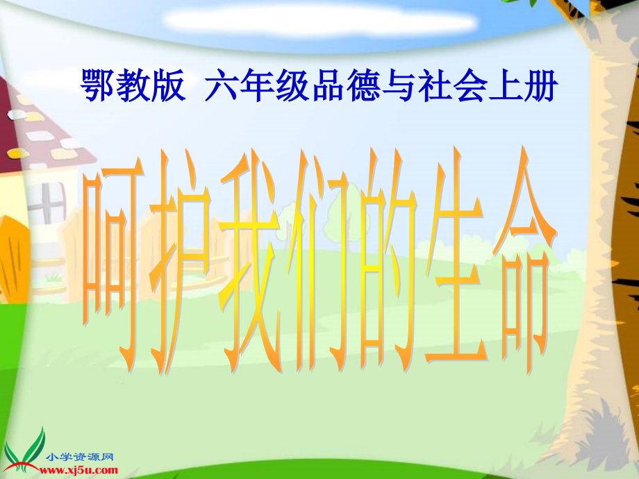 鄂教版品德与社会六年级上册《呵护我们的生命》课件.ppt_第1页