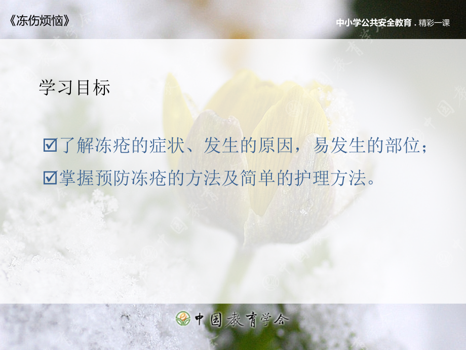 冻伤烦恼.ppt_第2页