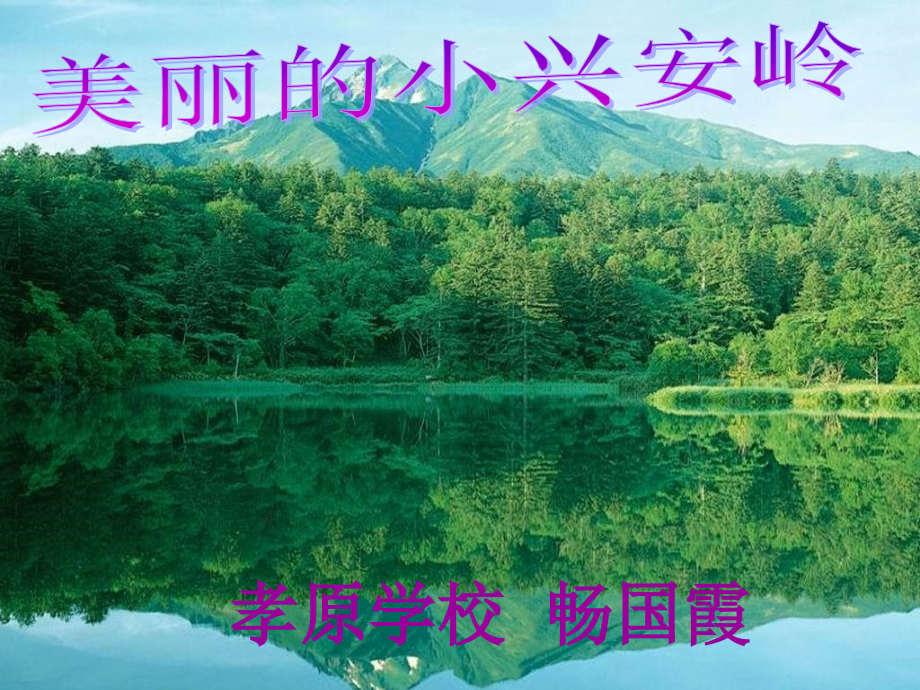 美丽的小兴安岭_PPT.ppt_第1页