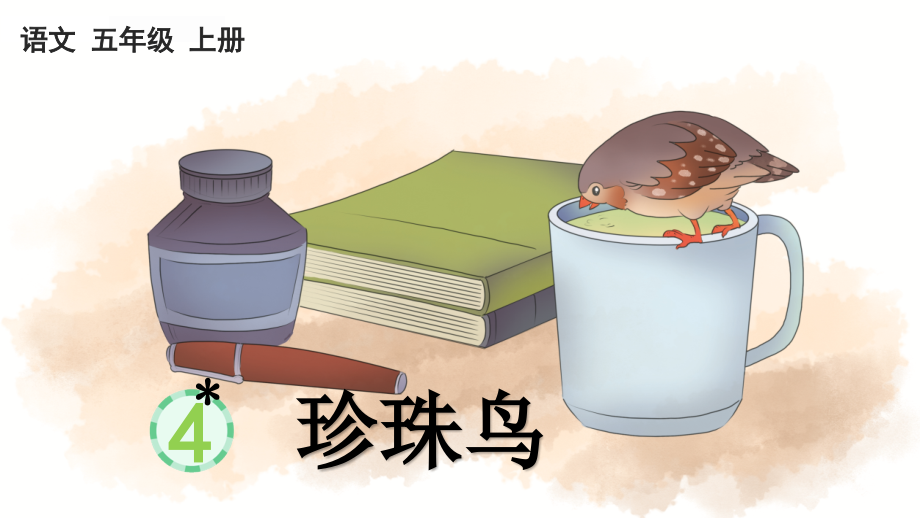 部编版五年级语文上册《珍珠鸟》.ppt_第1页