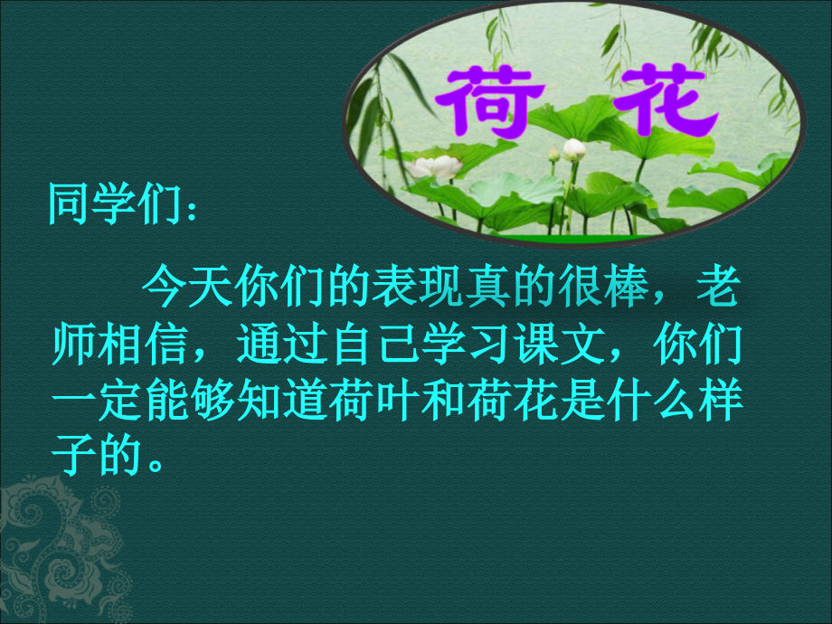 朱慧云荷花活动PPT.ppt_第1页