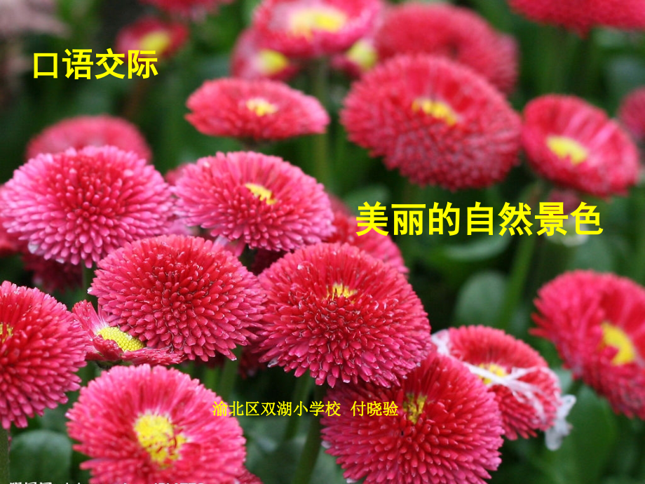 四年级下册二单元口语交际.ppt_第1页