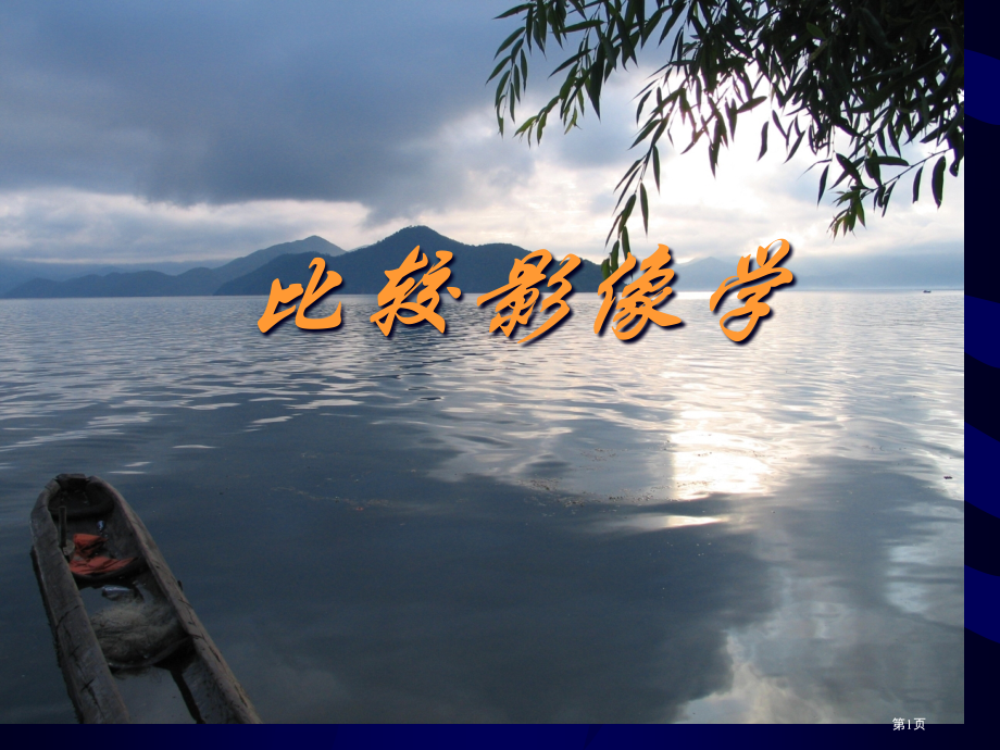 比较影像学专题知识讲座.pptx_第1页