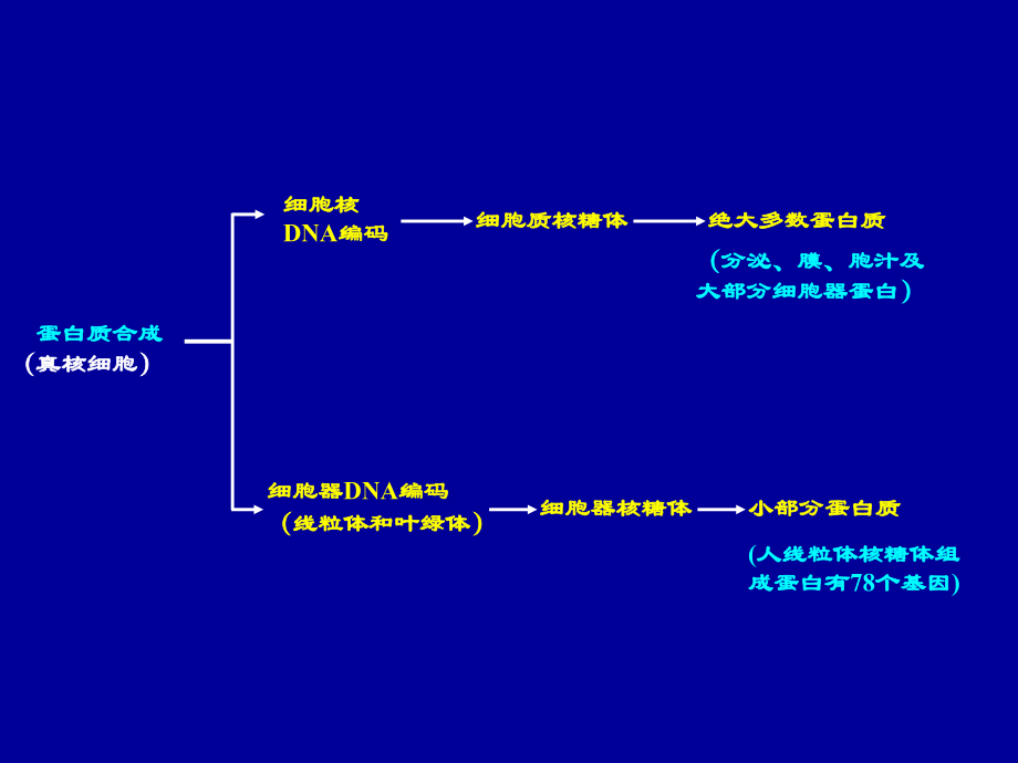 第四章--蛋白质的转运、加工与修饰.ppt_第2页