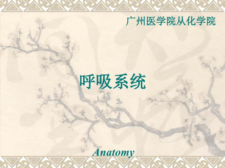 呼吸系统(0001).ppt_第1页