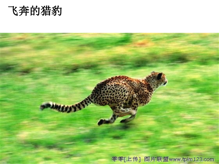 第二章第一节：认识运动.ppt_第2页