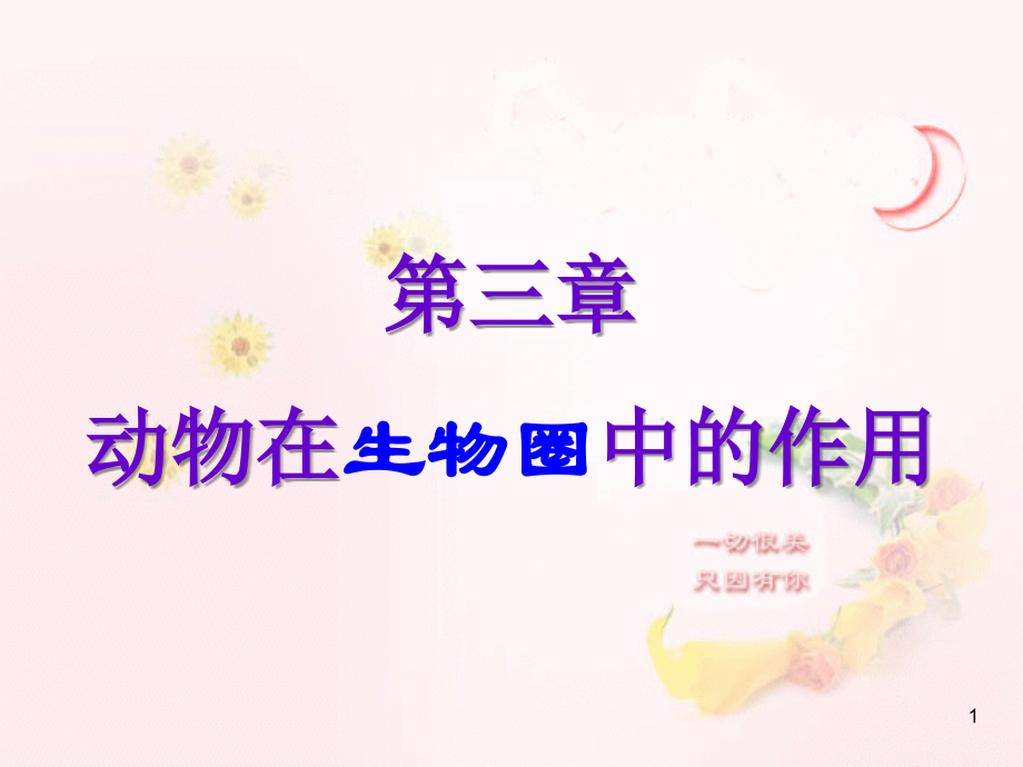 第三章动物在自然界中的作用.ppt_第1页