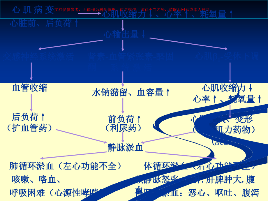治疗充血性心力衰竭的药物专业知识讲座课件.ppt_第2页