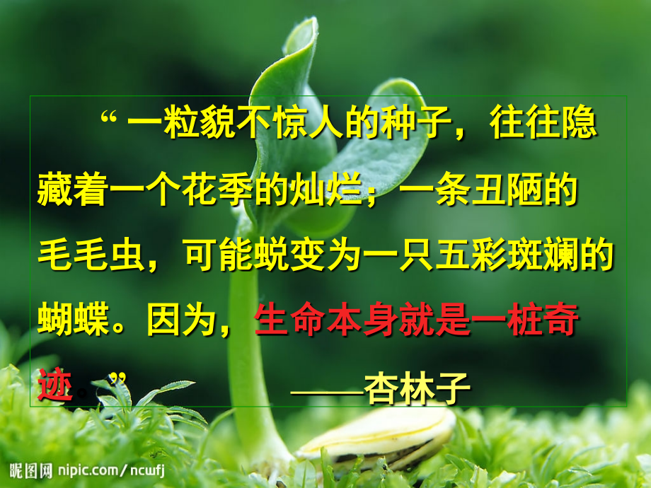 生命生命PPT课件1.ppt_第1页