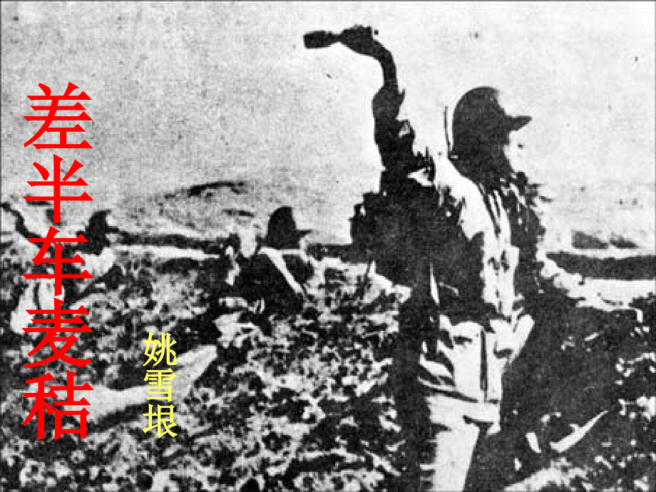 差半车麦秸课件.ppt_第1页