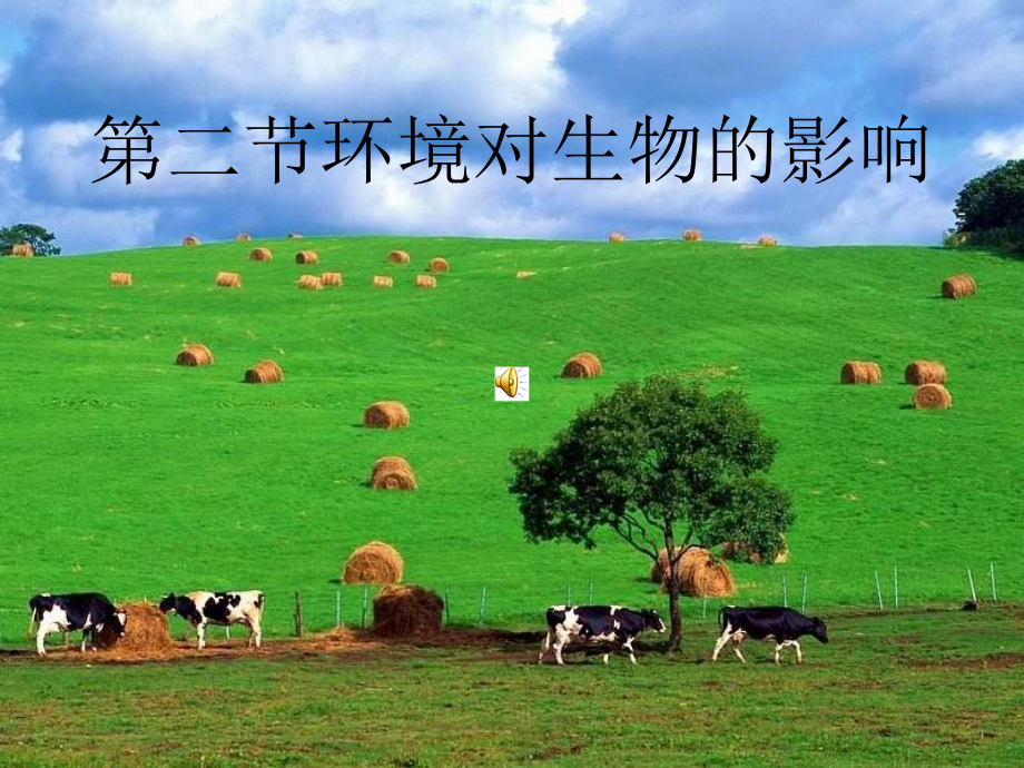 第二章第二节_环境对生物的影响.ppt_第1页