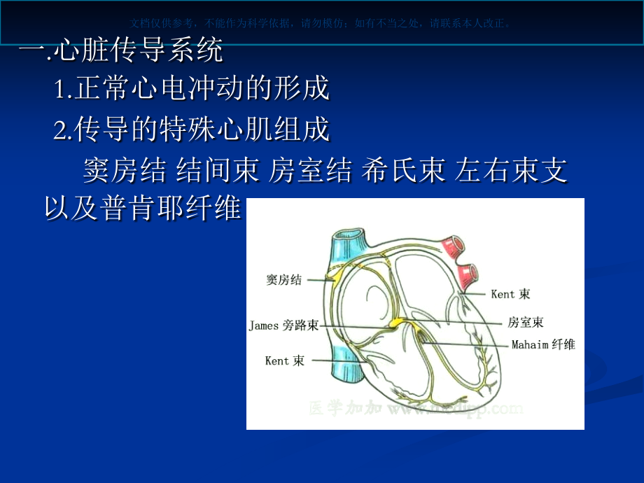 心电图的判读课件.ppt_第1页